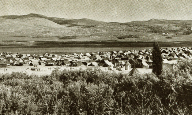 The Camp as Archive